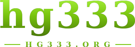 hg333 logo